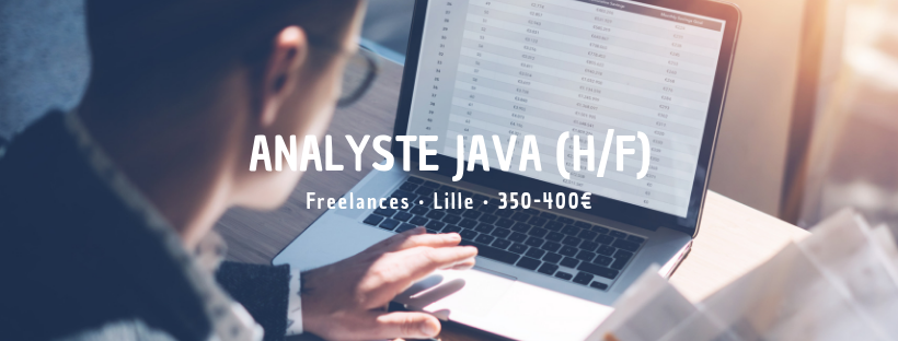 Analyste Java (H/F)