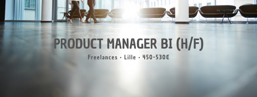 Product Manager BI (H/F)