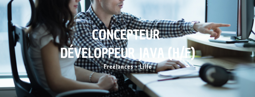 Concepteur Développeur Java (H/F)