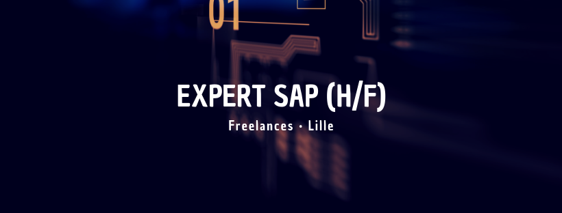 Expert SAP (H/F)