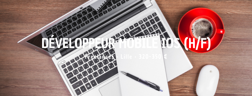 Intégrateur SAP - MM / PO (H/F)