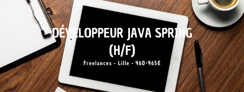 Développeur Java Spring (H/F)