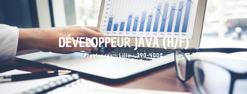 Développeur Java (H/F)