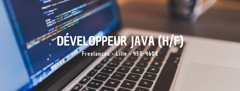 Développeur Java Eclipse RPC (H/F)