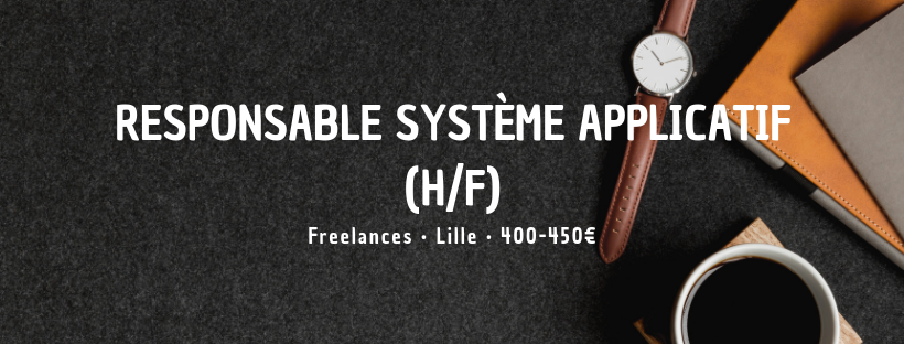 Responsable Système Applicatif (H/F)