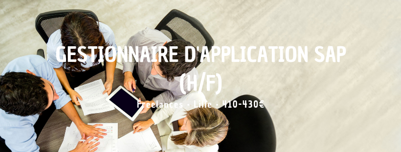 Gestionnaire d'Application SAP (H/F)