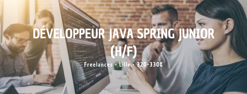 Développeur Java Spring Junior (H/F)
