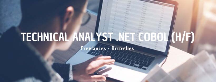 Technical Analyst .Net & Cobol (H/F)