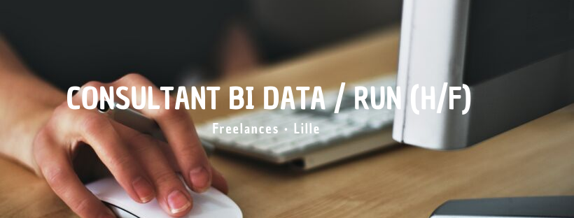 Consultant BI Data / Run (H/F)