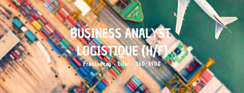 Business Analyst Logistique (H/F)