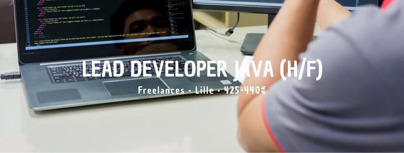 Lead Developer Java (H/F)