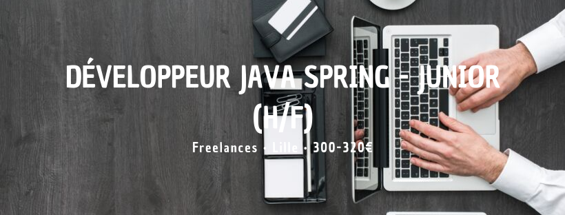 Développeur Java Spring - Junior (H/F)