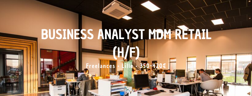 Business Analyst MDM Retail 