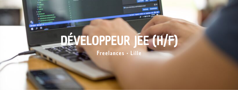 Développeur JEE (H/F)