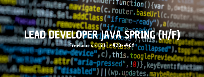 Lead Developer Java Spring (H/F)