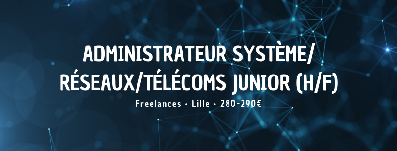Administrateur Système/Réseaux/Télécoms junior (H/F)