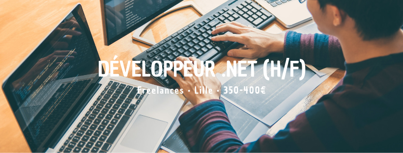 Développeur .Net (H/F)