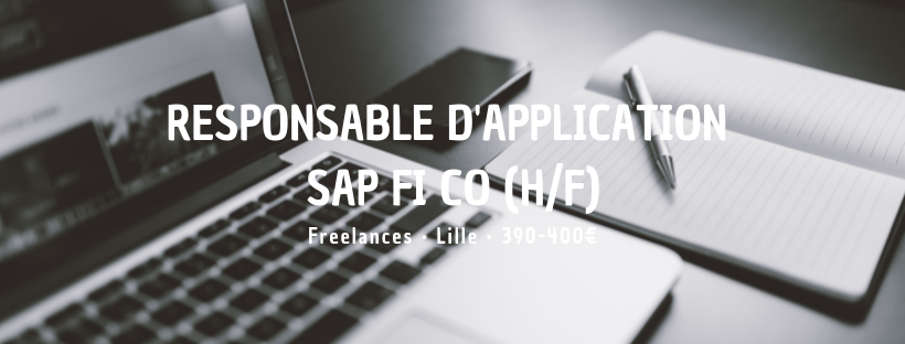 Responsable d'application SAP FI CO (H/F)