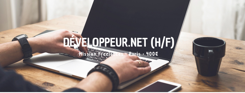 Développeur.Net (H/F)