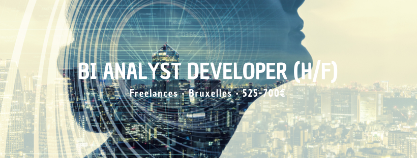 BI Analyst Developer (H/F)