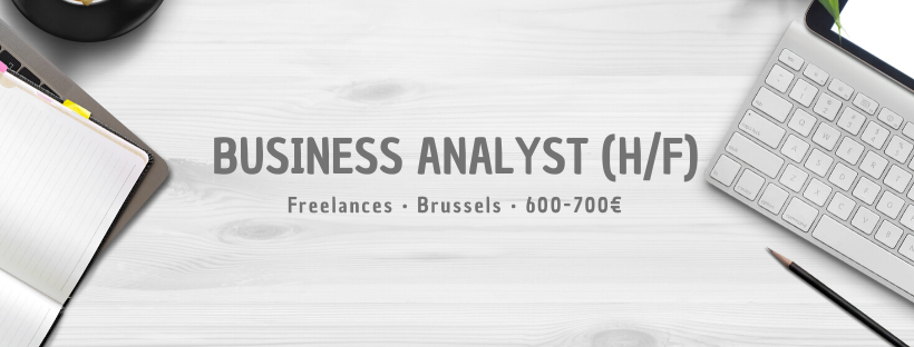 Business Analyst (H/F)
