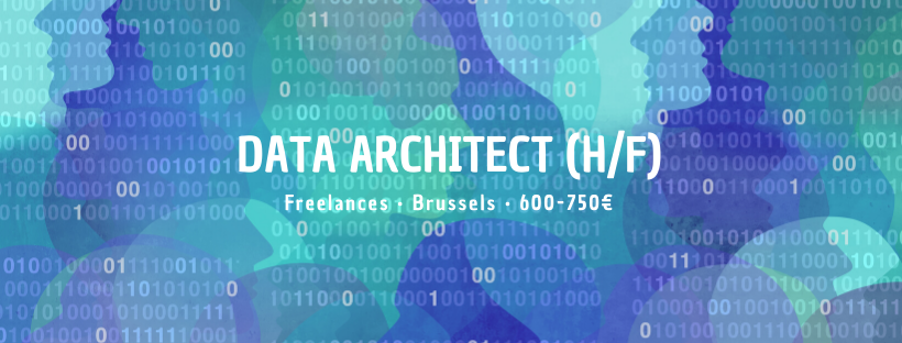 Data Architect (H/F)
