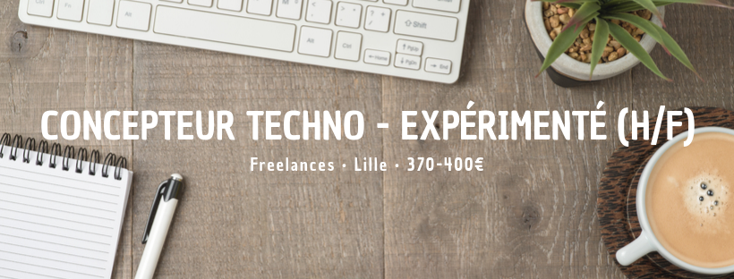 Concepteur Techno - Expérimenté (H/F)
