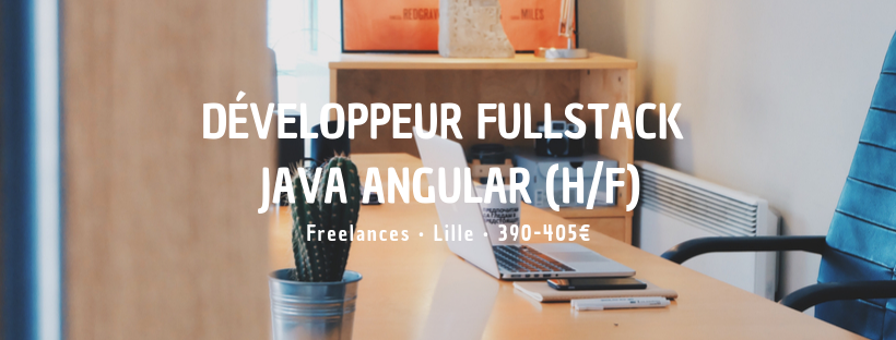 Développeur Fullstack Java Angular (H/F)