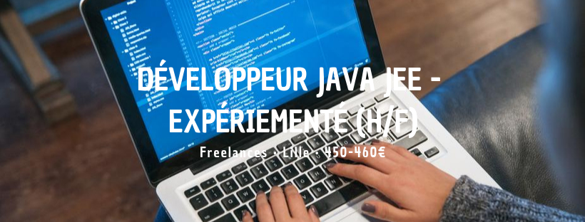 Développeur Java JEE - Expériementé (H/F)
