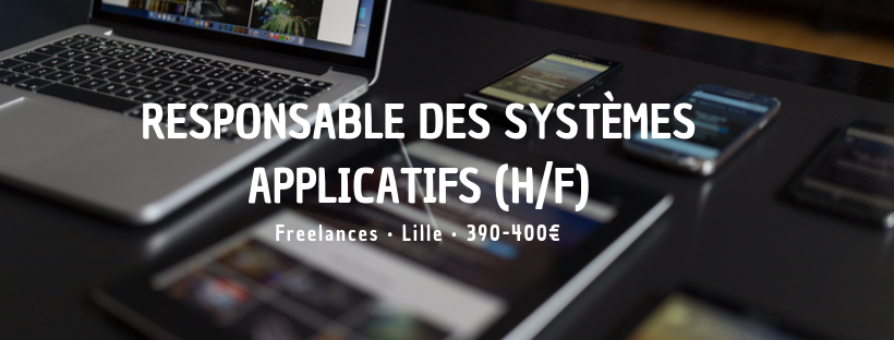 Responsable des systèmes applicatifs (H/F)