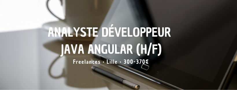 Analyste Développeur Java Angular (H/F)