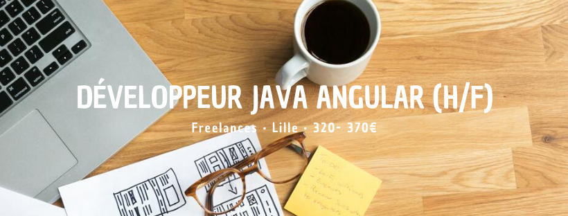 Développeur Java Angular (H/F)