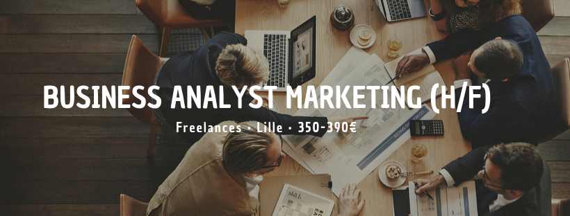 Business Analyst Marketing (H/F)