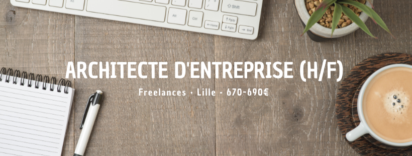 Architecte d'entreprise (H/F)