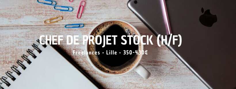 Chef de Projet Stock (H/F)
