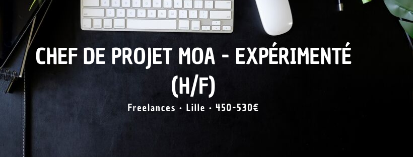 Chef de Projet MOA - Expérimenté (H/F)
