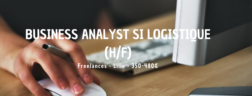 Business Analyst SI Logistique (H/F)