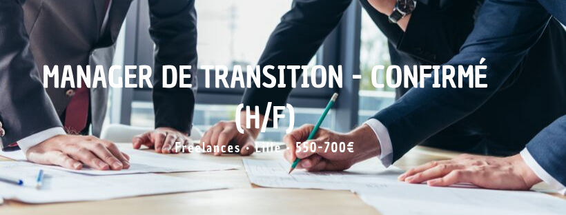 Manager de Transition - Confirmé (H/F)