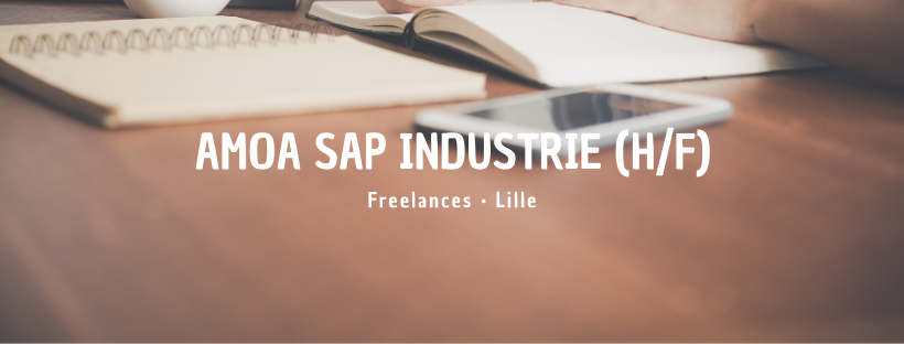 AMOA SAP Industrie (H/F)
