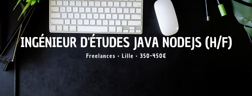 Ingénieur d'Études Java NodeJS (H/F)