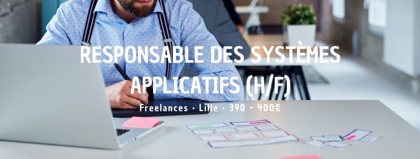 Responsable des systèmes applicatifs (H/F)