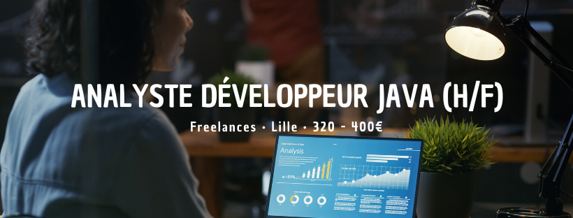 Analyste développeur Java (H/F)