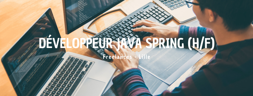 Développeur Java Spring (H/F)