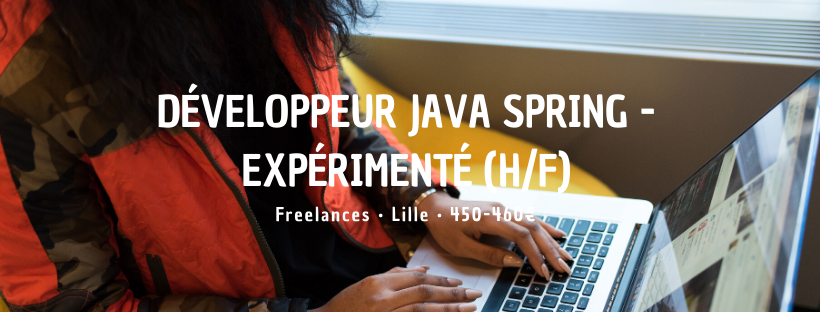 Développeur Java Spring - Expérimenté (H/F)