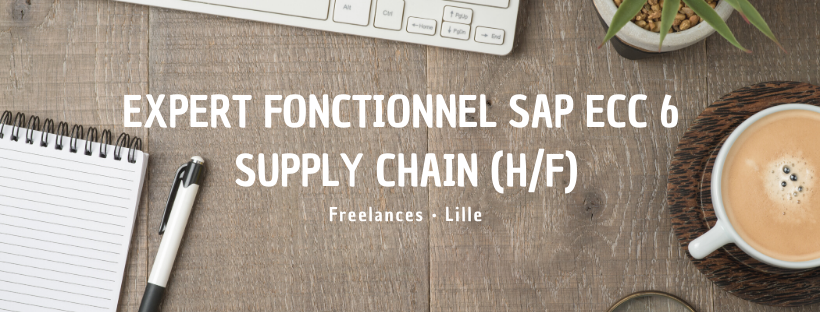 Expert fonctionnel SAP ECC 6 Supply Chain (H/F)