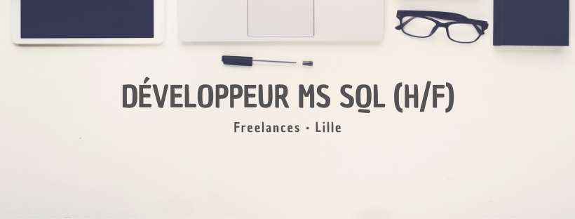 Développeur MS SQL (H/F)