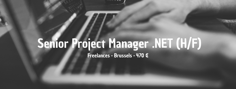 Senior Project Manager .NET (H/F)