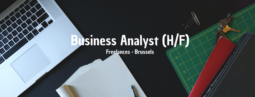 Business Analyst (H/F)