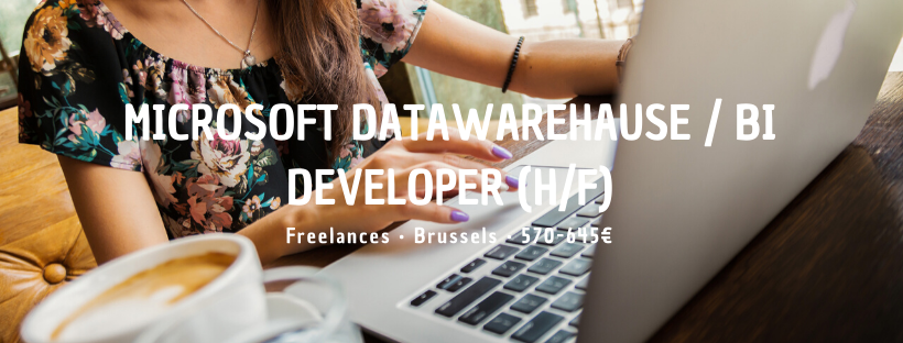 Microsoft Datawarehause / BI Developer (H/F)