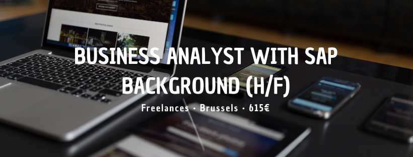 Business Analyst with SAP Background (H/F)